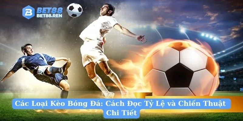 Các Loại Kèo Bóng Đá: Cách Đọc Tỷ Lệ và Chiến Thuật Chi Tiết
