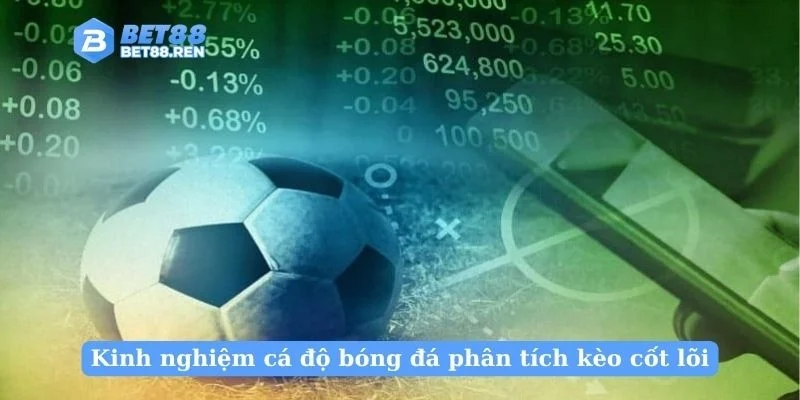 Kinh nghiệm cá độ bóng đá phân tích kèo cốt lõi