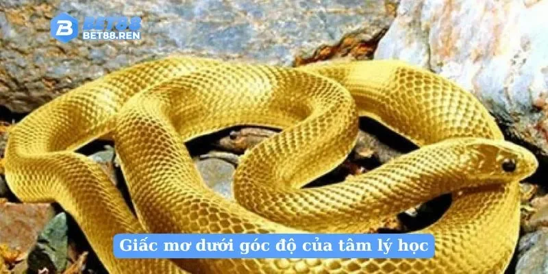 Giấc mơ dưới góc độ của tâm lý học