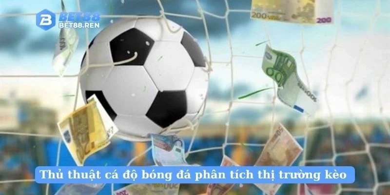 Thủ thuật cá độ bóng đá phân tích thị trường kèo 