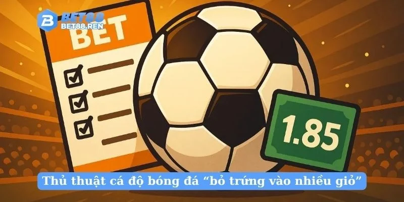 Thủ thuật cá độ bóng đá “bỏ trứng vào nhiều giỏ”